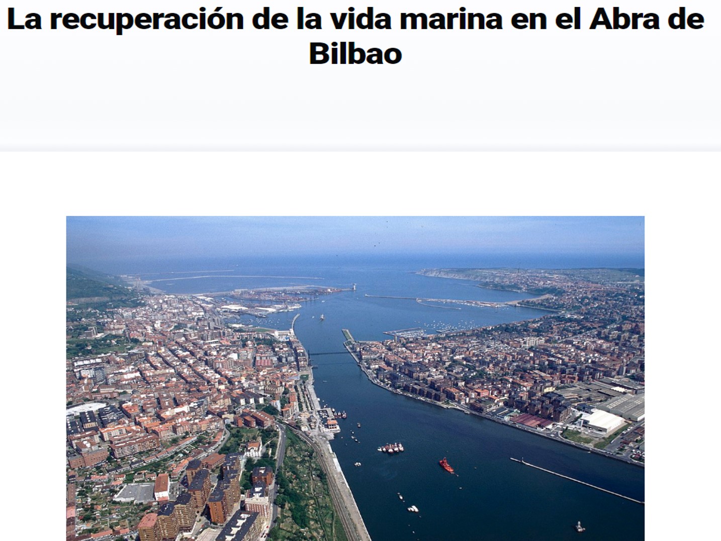 Recovery of marine life in the “Abra de Bilbao”