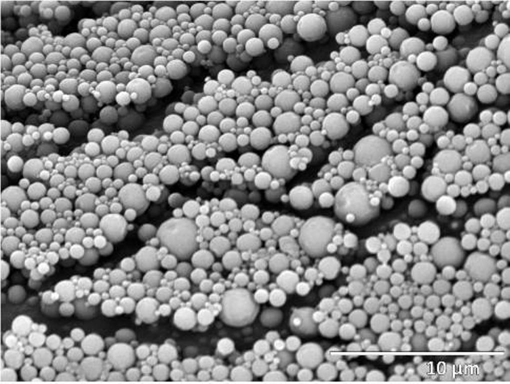 Awarded Picture: "SEM micrograph of a dispersion of fluorinated polymer particles" by Ms. Ana Belén López